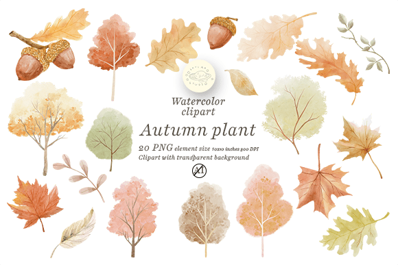 Bringing the Season to Life with Warm Autumn Plant Elements