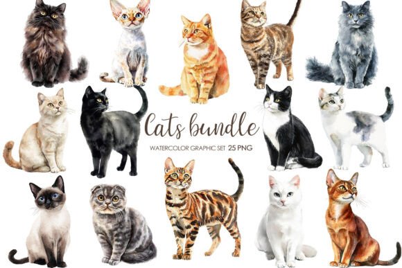 Cat Breeds Clipart Png: Premium Pet Graphics