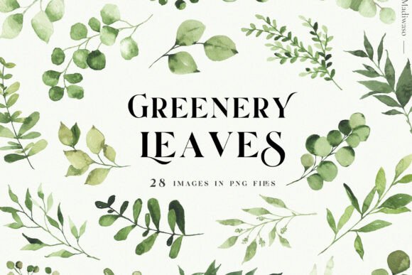 Green Leaves Watercolor Clipart Foliage