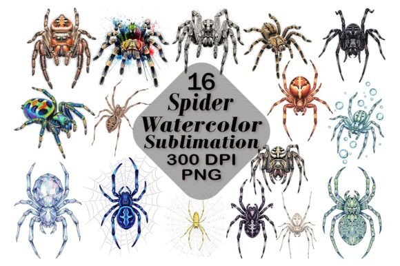 Spider Watercolor Sublimation: A Workflow Guide for Creators