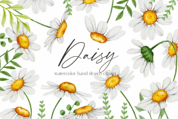 The Resurgence of Organic Aesthetics: Integrating Watercolor Daisy Clipart Chamomile Flowe into Modern Branding