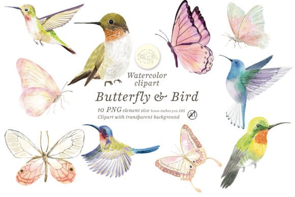 Watercolor Butterfly and Bird Clipart: A Practical Asset for Designers